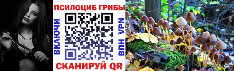 где можно купить наркотик  Спасск  Галлюциногенные грибы Psilocybe 